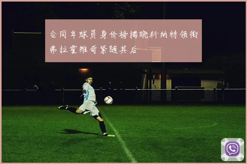 合同年球员身价榜揭晓科纳特领衔弗拉霍维奇紧随其后