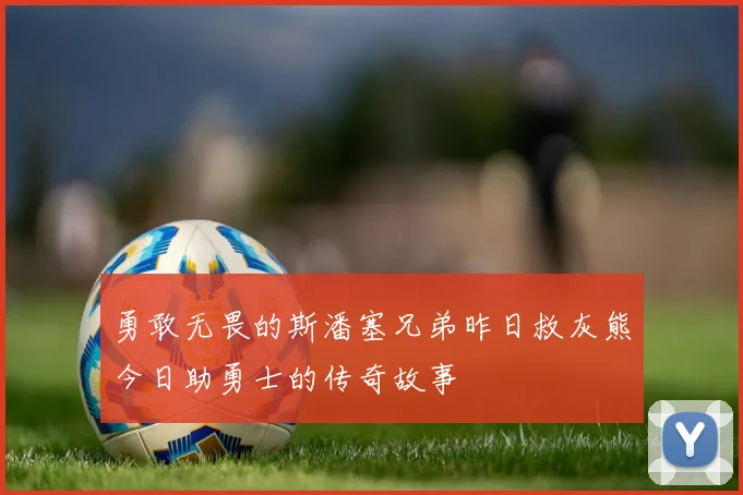 勇敢无畏的斯潘塞兄弟昨日救灰熊今日助勇士的传奇故事