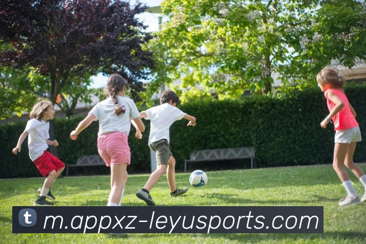 乐鱼体育平台生态图