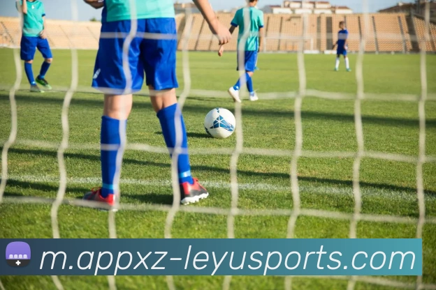 乐鱼体育APP 封面图