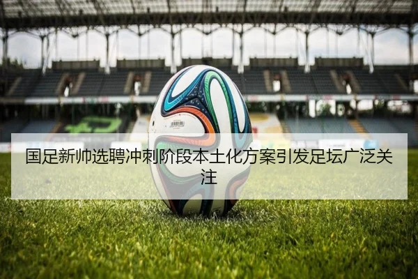 国足新帅选聘冲刺阶段本土化方案引发足坛广泛关注 | Leyu